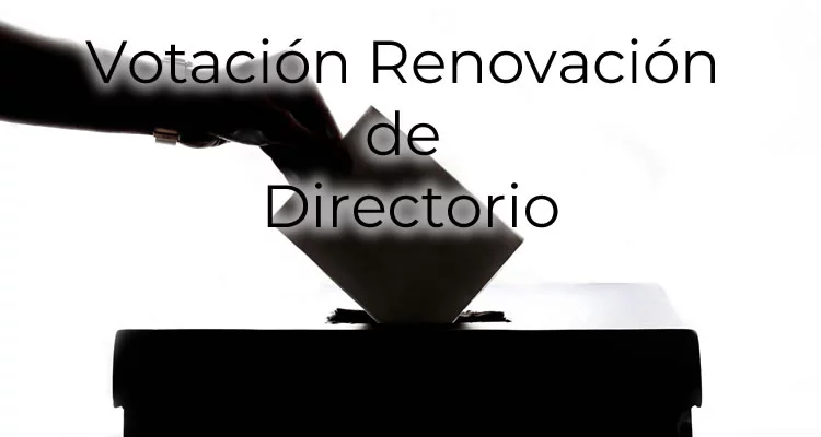 votacion renovacion directorio